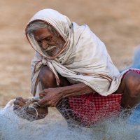 Inde, démaillage du poisson sur la plage à Puri - Jean-Pierre NIVET