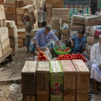 Inde, marché aux grenades à Kolkata - Jean-Pierre NIVET