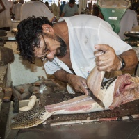 Marché aux poissons de Manaos (Brésil) - Patrick GALLET