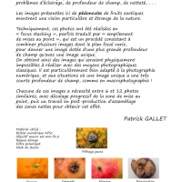 Fruits exotiques - Patrick Gallet