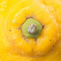 Citron - Patrick Gallet