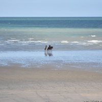 St Aubin sur mer