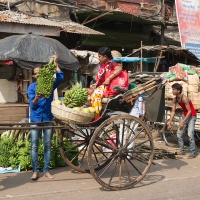 Inde, scène de rue à Kolkata