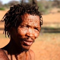 Bushman Kalahari